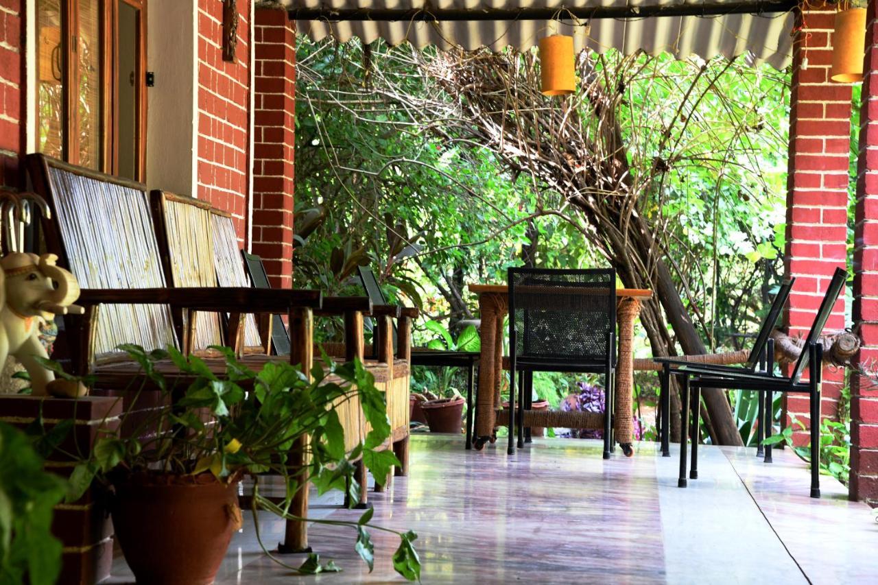 Baaz Jungle Resort Khawasa Bagian luar foto