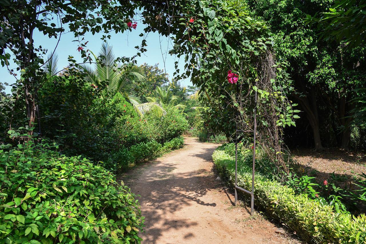 Baaz Jungle Resort Khawasa Bagian luar foto