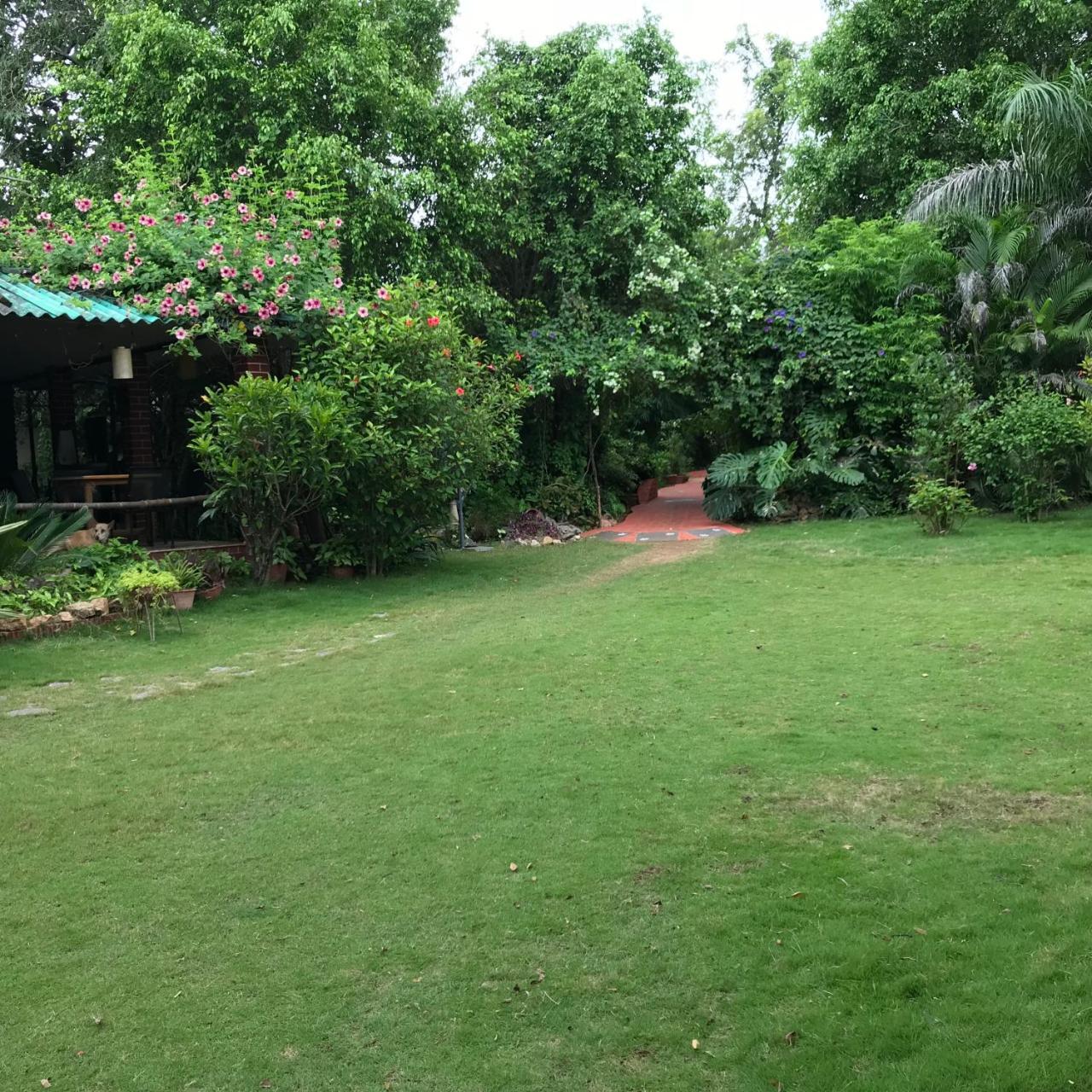 Baaz Jungle Resort Khawasa Bagian luar foto