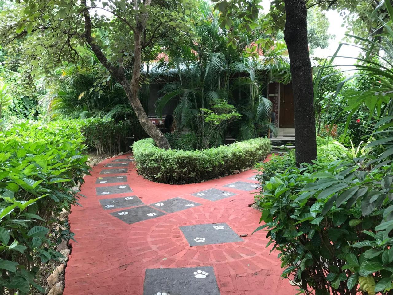 Baaz Jungle Resort Khawasa Bagian luar foto