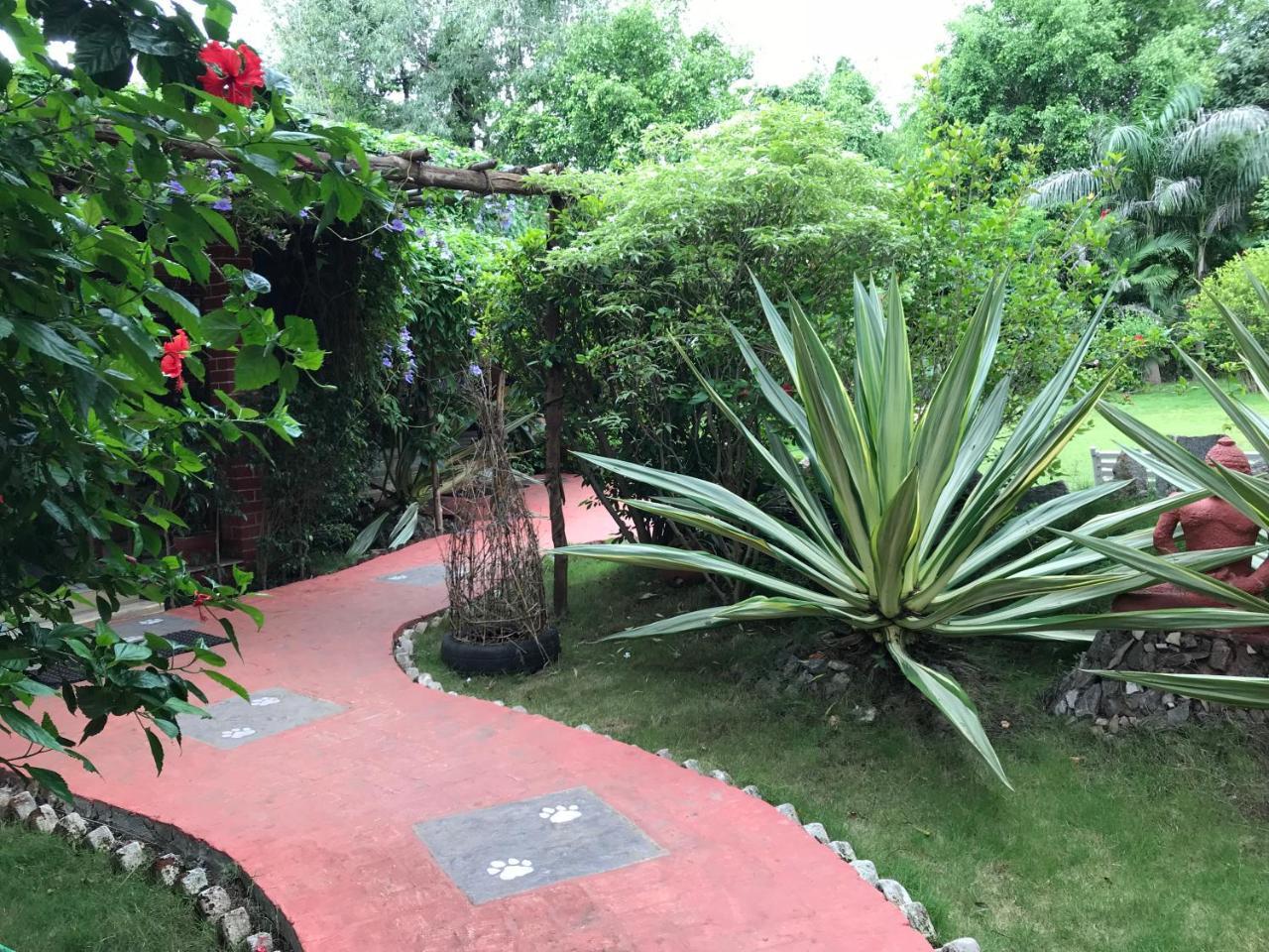 Baaz Jungle Resort Khawasa Bagian luar foto