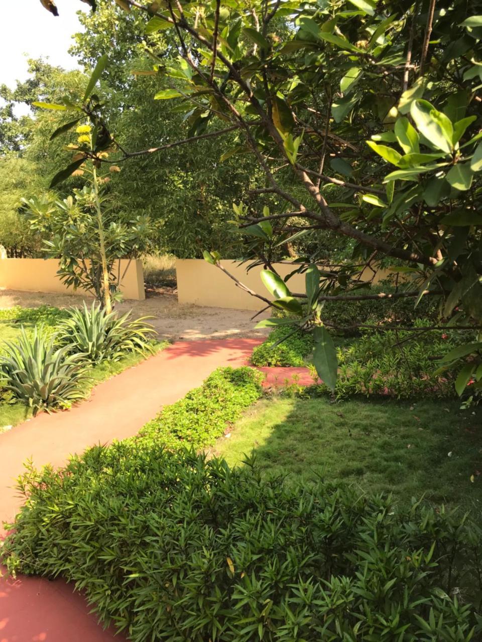 Baaz Jungle Resort Khawasa Bagian luar foto